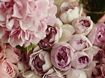 ザ・グローオリエンタル名古屋 衣裳2画像 2-2