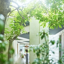 福岡 天神モノリス(FUKUOKA TENJIN MONOLITH) 庭園画像 2-3