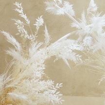 福岡 天神モノリス(FUKUOKA TENJIN MONOLITH) チャペル(cocoon chapel)画像 2-3