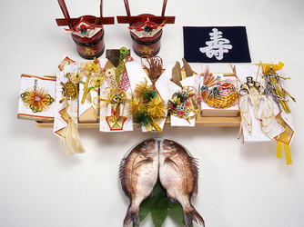 平源 HIRAGEN その他2画像 2-2