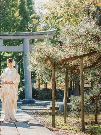 平源 HIRAGEN 衣裳2画像 1-2