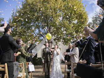 The Sally Garden (ザ サリィガーデン) Cafe time画像 2-2