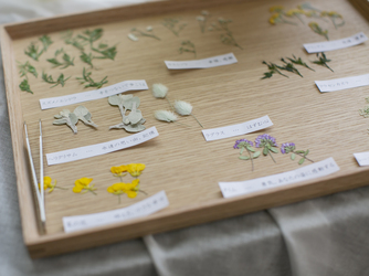 The Sally Garden (ザ サリィガーデン) Cafe time画像 2-4