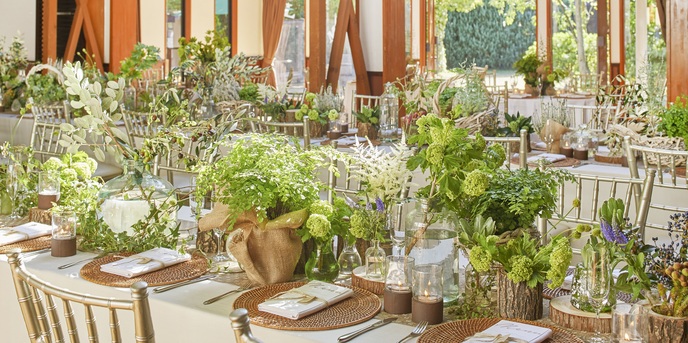 The Sally Garden (ザ サリィガーデン) 貸切邸宅すべてがナチュラルな緑の空間に!画像 1