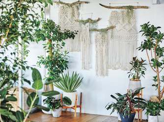 アマンダンセイル(AMANDAN SAIL) コンセプトウエディング画像 1-2