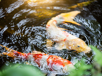 KIYOMIZU京都東山 庭園画像 2-2