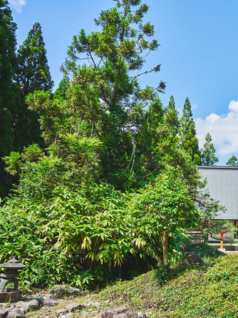 グランラセーレ八重垣 庭園画像 1-1