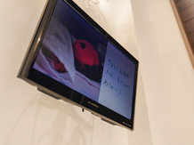 Ange La Fontaine (アンジェラフォンティーヌ) チャペル(Grandiel -グランディール-)画像 2-4