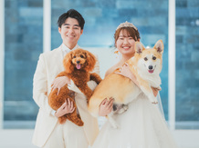 Ange La Fontaine (アンジェラフォンティーヌ) 撮影スポット画像 2-4