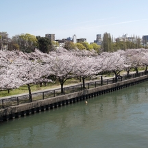 旧桜宮公会堂（国登録重要文化財） 披露宴会場画像 2-6