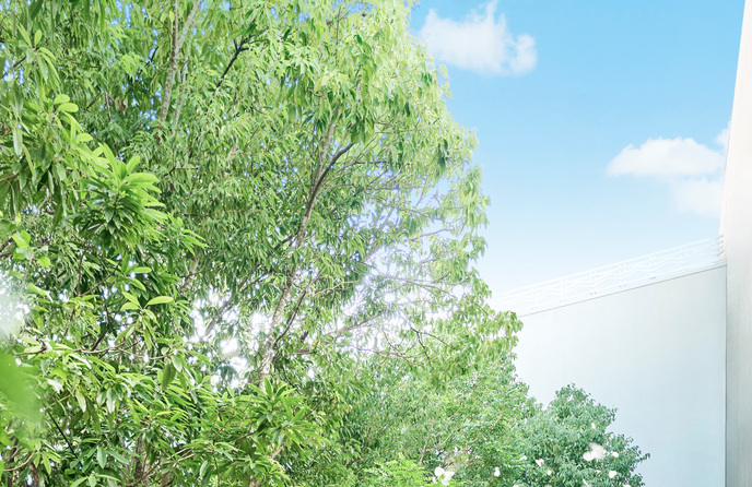 MANDARIN ALLURE(マンダリンアリュール) チャペル(FLOWER SHOWER)画像 1