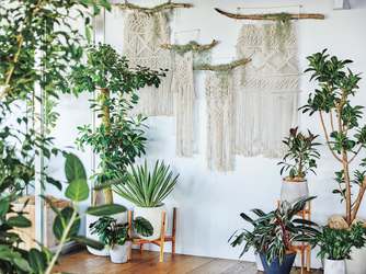 Flairge 桜坂(フレアージュ 桜坂) その他1画像 1-2