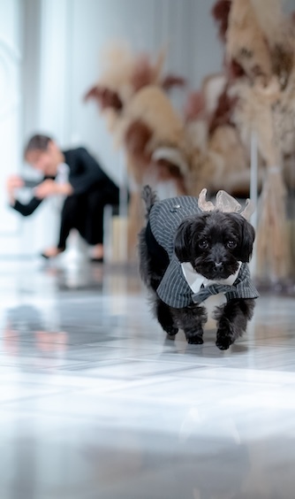 チャペル・ド・コフレ その他1画像 2-1