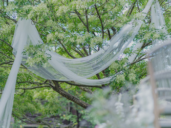 グレイスガーデン アルベラ セレモニースペース(挙式会場)画像 2-3