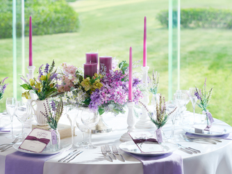 NAGANO TAMAHIMEDEN(長野玉姫殿) ルミエール画像 2-3