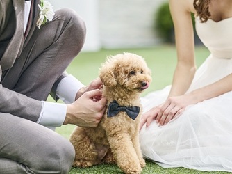 LAPIS AZUR(ラピスアジュール) 付帯設備1画像 2-3