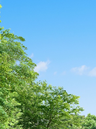 LAPIS AZUR(ラピスアジュール) ゲストも喜ぶガーデンパーティ画像 1-1