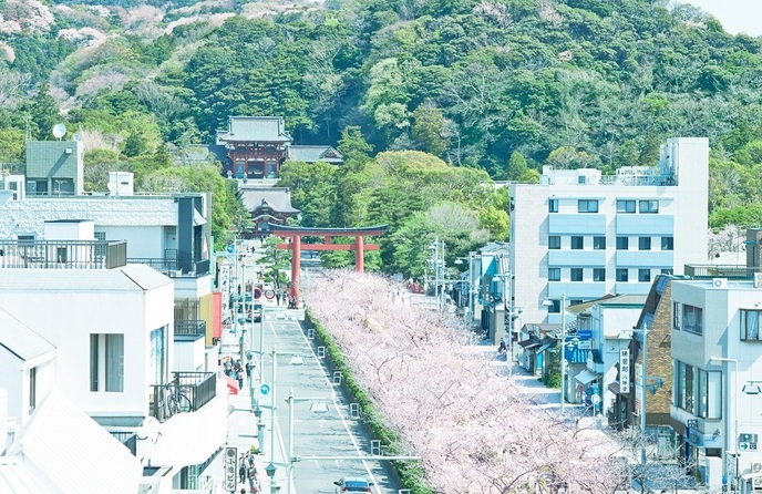 KOTOWA 鎌倉 鶴ヶ岡会館 神社(【鶴岡八幡宮】鎌倉の中心地で紡ぐ両家の絆)画像 1
