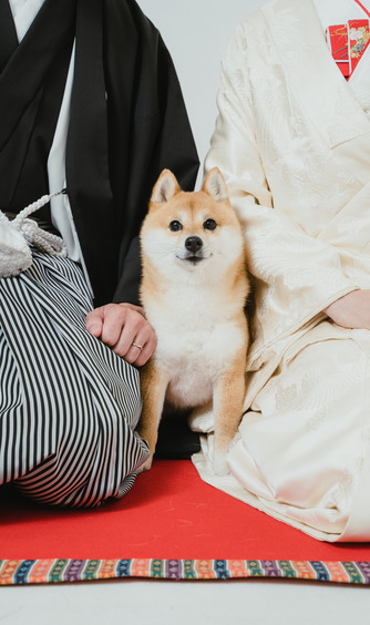 アンシャンテ/アレーズ その他4画像 2-1