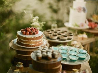 The Forest of Lold(ザ フォレスト オブ ロルド) ナイトガーデンパーティー画像 2-3