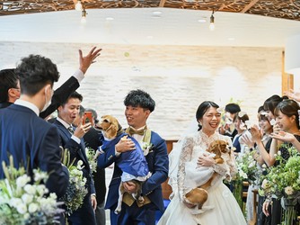 The Forest of Lold(ザ フォレスト オブ ロルド) その他1画像 2-2