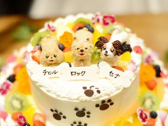 The Forest of Lold(ザ フォレスト オブ ロルド) 料理・ケーキ2画像 2-2