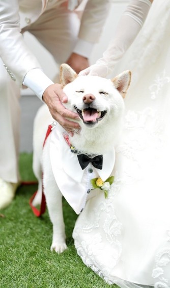 The Forest of Lold(ザ フォレスト オブ ロルド) その他1画像 2-1