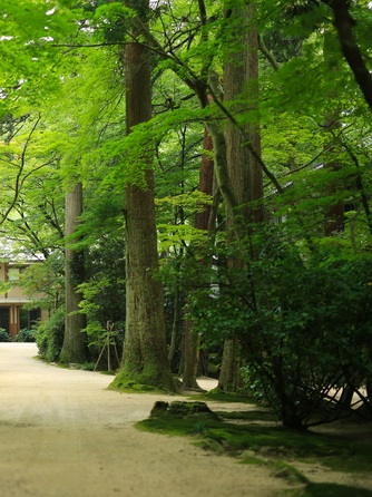 静かな森と明治・大正離れの宿 環翠楼 ロケーション画像 2-2