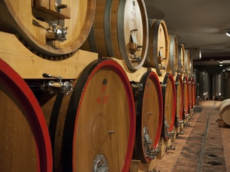 オステリア ムーリベッキ 歴史画像 2-3