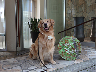 オステリア ムーリベッキ 【会場とひとつながりのテラス】画像 2-4