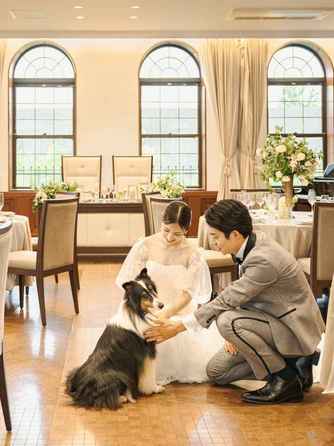 目白の森 メーヤー・ライニンガー 演出2画像 2-2