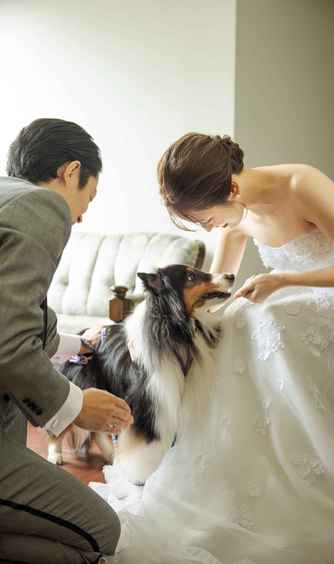 目白の森 メーヤー・ライニンガー 演出1画像 2-1