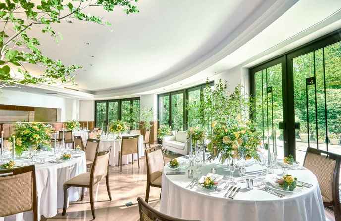 目白の森 メーヤー・ライニンガー カリス画像 1