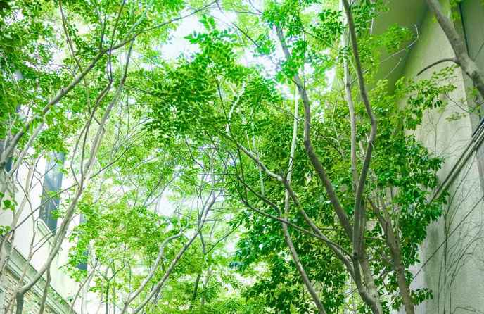 目白の森 メーヤー・ライニンガー セレモニースペース(1200坪の舞台は組数限定のプライベート空間)画像 1