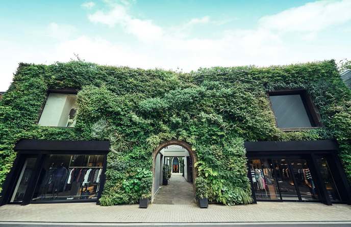 南青山サンタキアラ教会 その他2画像 1