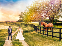 Belle la Coeur(ベル ラ クール) ロケーション1画像 2-4