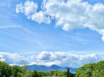 Belle la Coeur(ベル ラ クール) シャルール/専用ガーデン画像 2-3