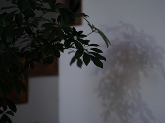 THINGS Aoyama Organic Garden.dth その他2画像 2-2