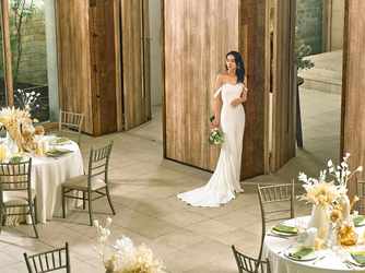 THINGS Aoyama Organic Garden.dth 披露パーティ/The Sun Room画像 2-2