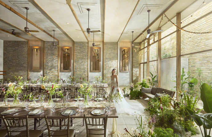 THINGS Aoyama Organic Garden.dth 披露パーティ/The Sun Room画像 1