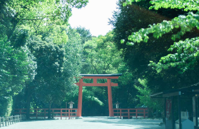下鴨神社(賀茂御祖神社) 神社(史跡 糺の森)画像 1