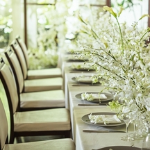 パラッツォ ドゥカーレ 麻布 LA FORESTA ラ フォレスタ画像 2-2