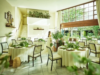 パラッツォ ドゥカーレ 麻布 都心とは思えない緑あふれる貸切邸宅画像 2-3