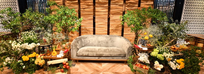 BELLE JARDIN(ベル・ジャルダン) SAVEUR /resort Style画像 1-1