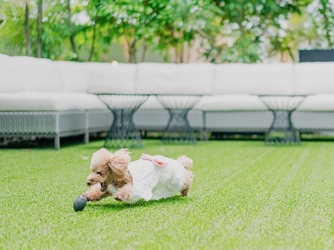 BLANC RIRE 大阪(ブランリール オオサカ) その他2画像 2-4