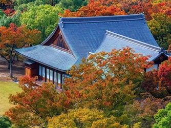 大阪城西の丸庭園 大阪迎賓館 ロビー・エントランス画像 2-4