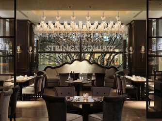 ザ ストリングス 表参道 付帯設備3画像 2-4