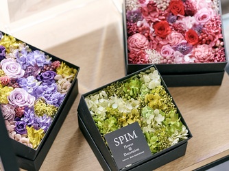 ザ ストリングス 表参道 スタッフ1画像 2-3