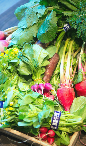 Le chic unjour(ラシック アンジュール) 鎌倉野菜フレンチ画像 1-1