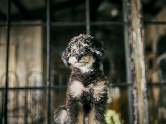 Ruban (リュバン) 演出1画像 2-1